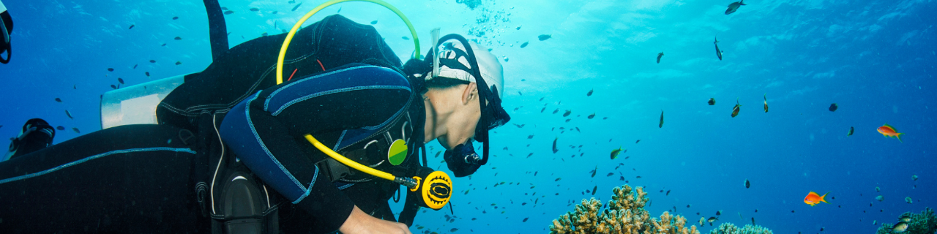 A scuba diver in the ocean with orange fishes